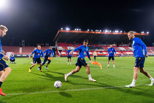 Players of the Swedish national football team