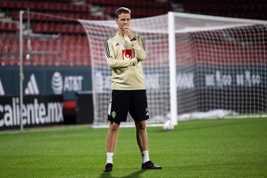 Goalkeeper coach Maths Elfvendal of the Swedish national