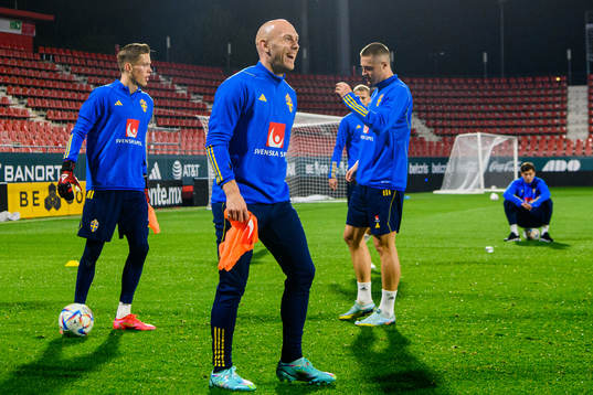 Magnus Eriksson of the Swedish national football team