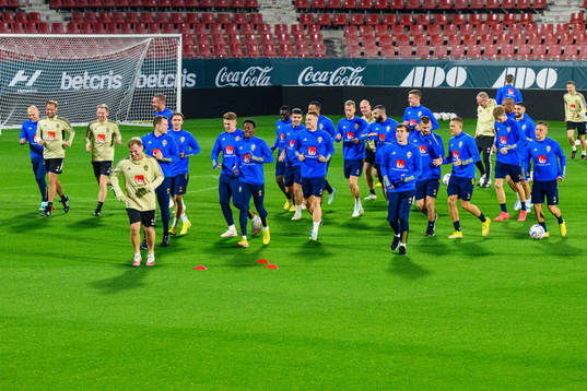 Players of the Swedish national football team warm up
