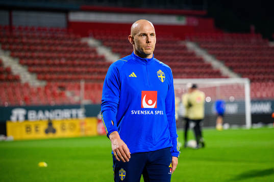 Magnus Eriksson of the Swedish national football team