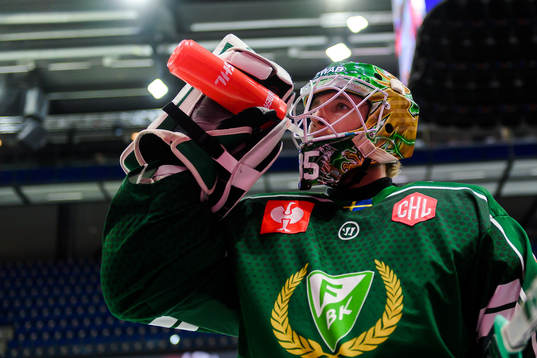 goaltender Dennis Hildeby