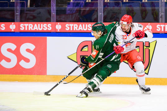 Joakim Nygård of Färjestad and Kelly klima of Mountfield
