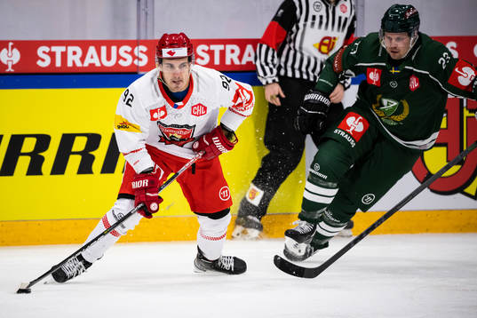 Zdenek Dolezal  of Mountfield and Ville Pokka of Färjestad