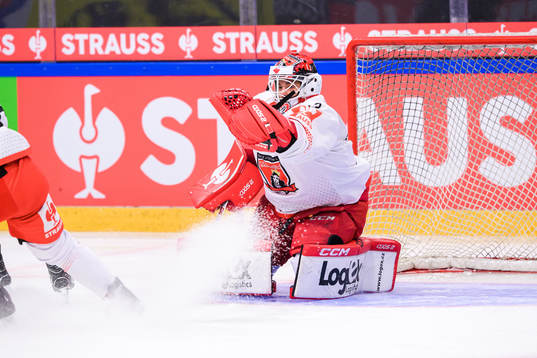 goaltender Jan Ruzicka  of Mountfield