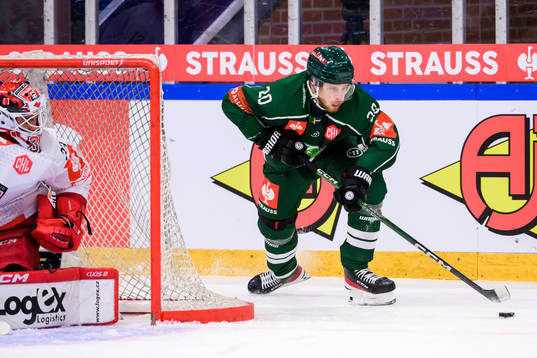 goaltender Jan Ruzicka  of Mountfield and Marcus Westfält