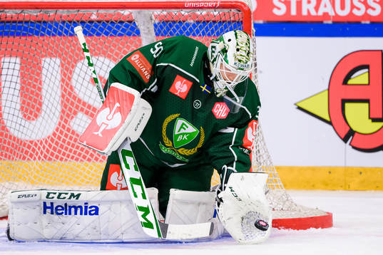 goaltender Matthew Tomkins  of Färjestad