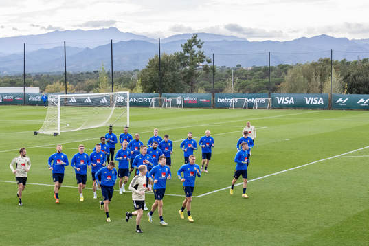 Players of the Swedish national football team