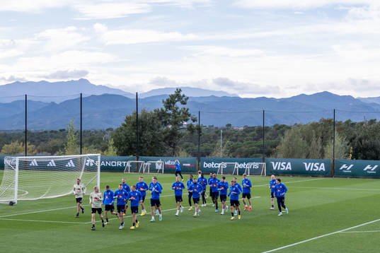 Players of the Swedish national football team