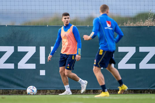 Edvin Kurtulus of the Swedish national football team