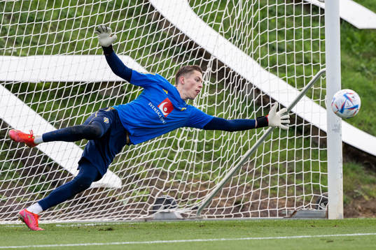 Goalkeeper Leopold Wahlstedt of the Swedish national