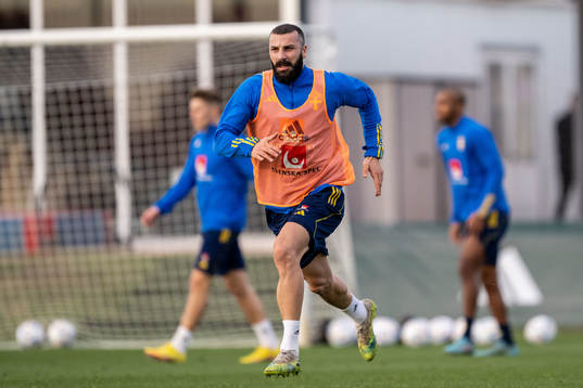 Mikael Ishak of the Swedish national football team