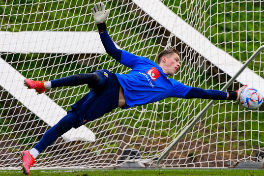 Goalkeeper Leopold Wahlstedt of the Swedish national