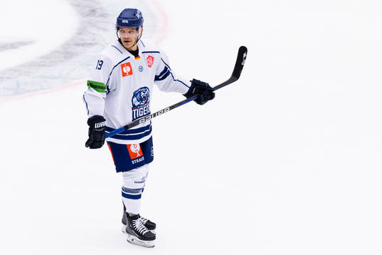 Tim Brunnhuber of Straubing Tigers look dejected
