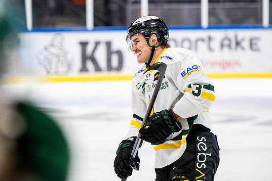 Västerås Ludvig Östman
