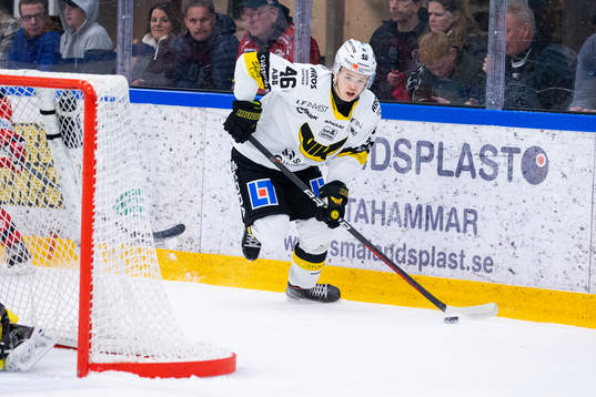 Västerås Liam Dower Nilsson