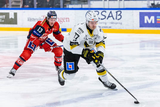 Västerås Ludvig Jardeskog