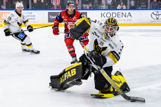 Västerås målvakt Johan Gustafsson