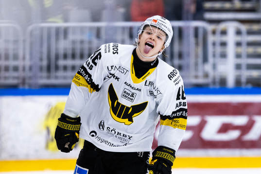 Västerås Liam Dower Nilsson