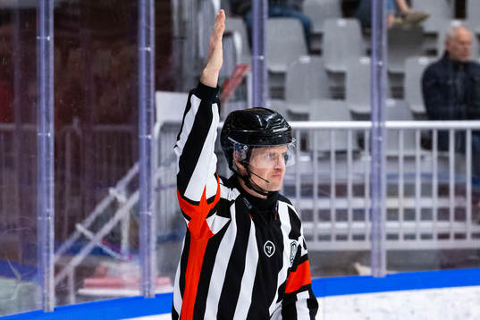 Domare Stefan Johansson