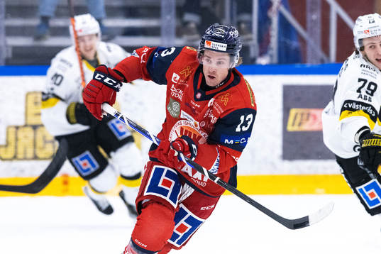 Västerviks Troy Loggins