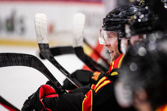 Brynäs Greg Scott
