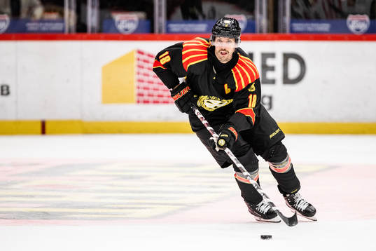 Brynäs Anton Rödin