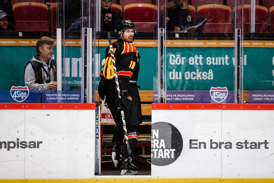 Brynäs Anton Rödin