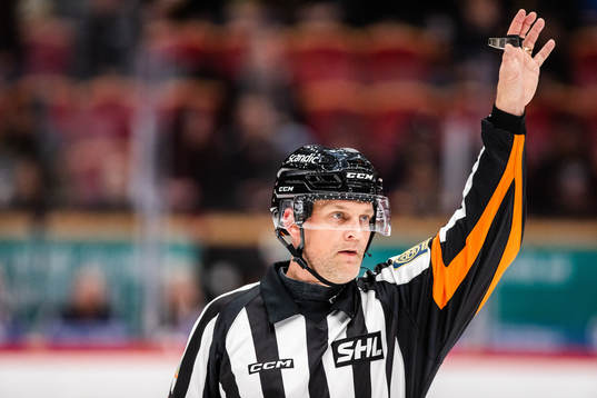 Domare Mikael Nord
