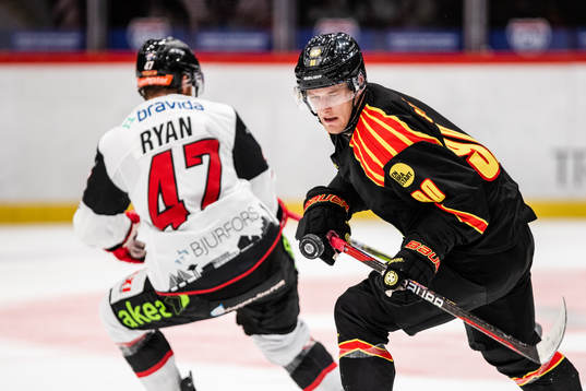 Brynäs David Sklenicka