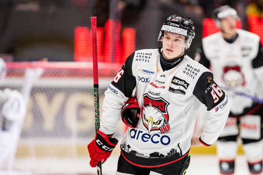 Malmö Redhawks Lukas Wernblom deppar