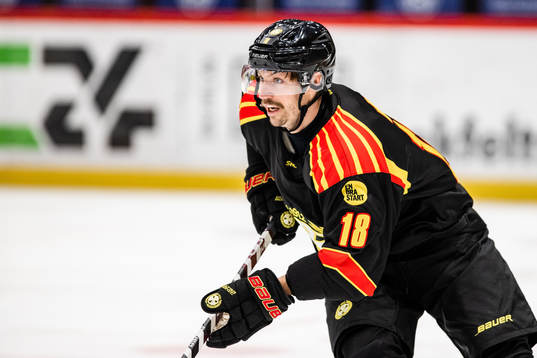 Brynäs Anton Rödin
