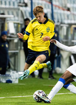 Sveriges Williot Swedberg