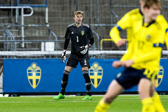 Sveriges målvakt André Picornell