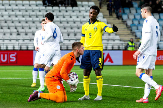 Cyperns målvakt Dimitrios Stylianidis och Sveriges Richie