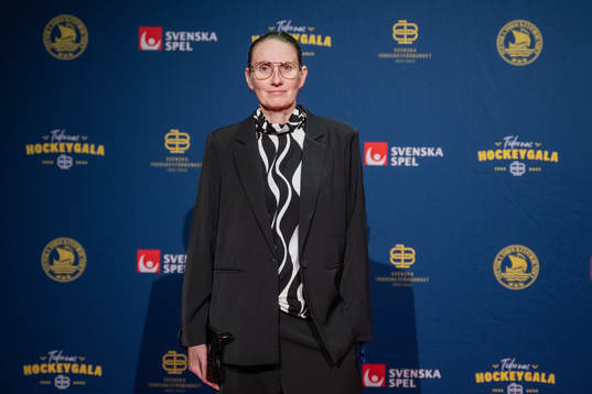 Besökare på röda mattan