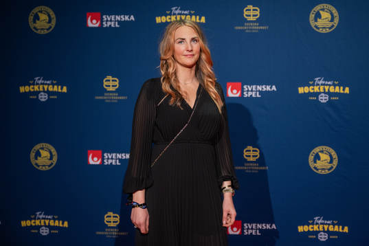 Besökare på röda mattan
