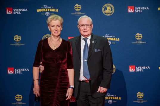 Besökare på röda mattan
