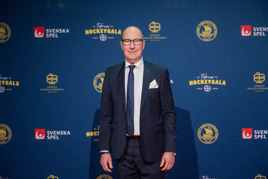 Besökare på röda mattan