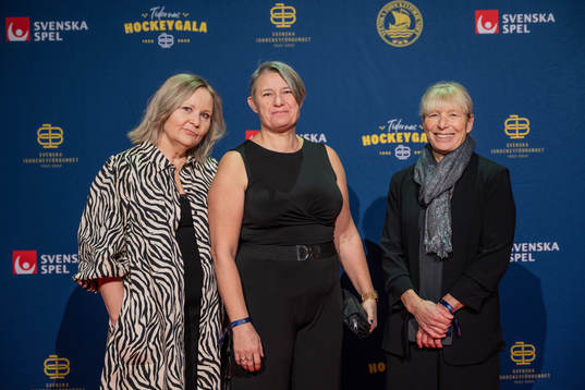 Besökare på röda mattan