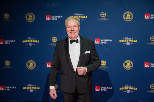 Besökare på röda mattan