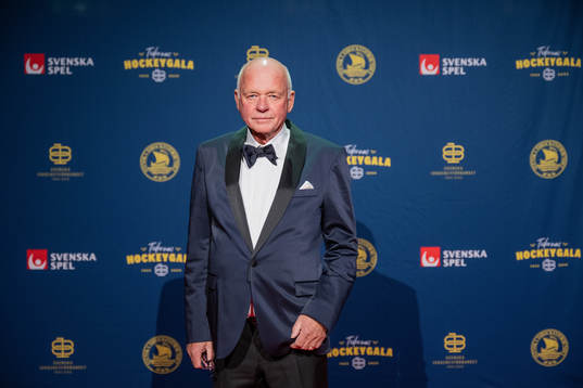 Besökare på röda mattan