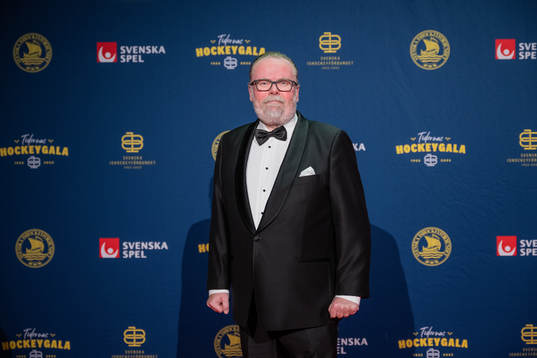 Besökare på röda mattan