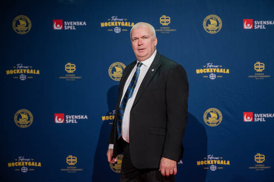 Besökare på röda mattan