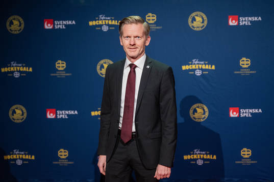 Besökare på röda mattan