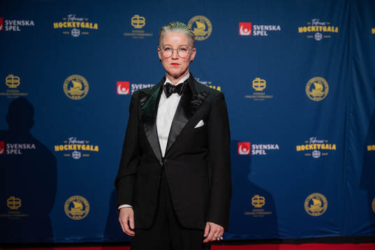 Besökare på röda mattan