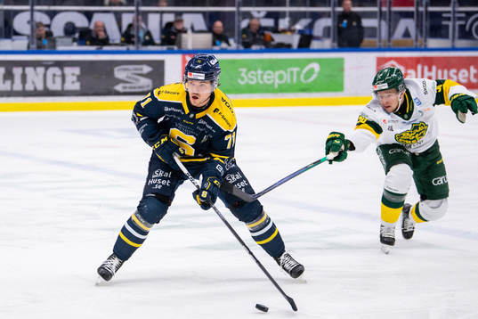 Södertäljes Renars Krastenbergs och Björklövens Alex