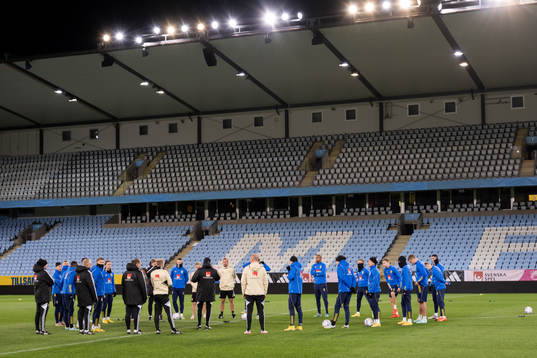 General view of the Swedish national football team