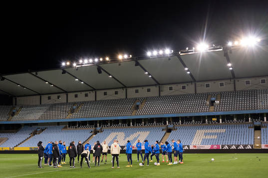 Players of the Swedish national football team