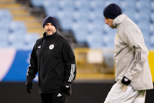 Head coach Djamel Belmadi of Algeria